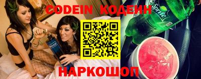 мдпв Камышлов