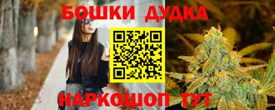 мдпв Камышлов