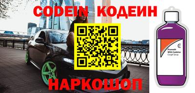 мдпв Камышлов